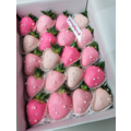 20pcs 4 Shades of Pink Chocolate Strawberries Gift Box (Custom Wording)